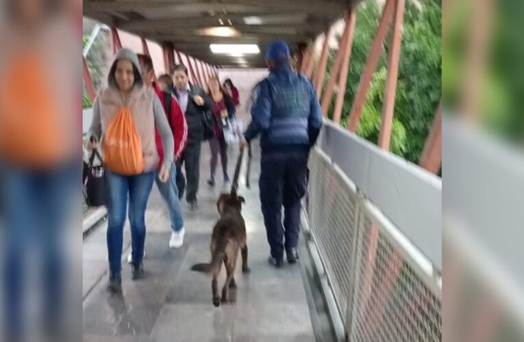 Retiran a perrito de vías tras interrumpir servicio en Línea B del Metro