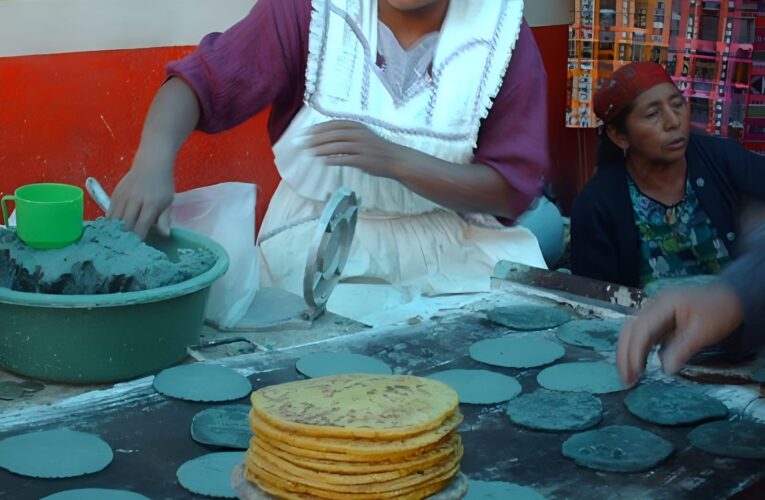 JUSTICIA PARA MUJERES INDÍGENAS: TRIBUNAL PERMITE VENTA DE TORTILLAS