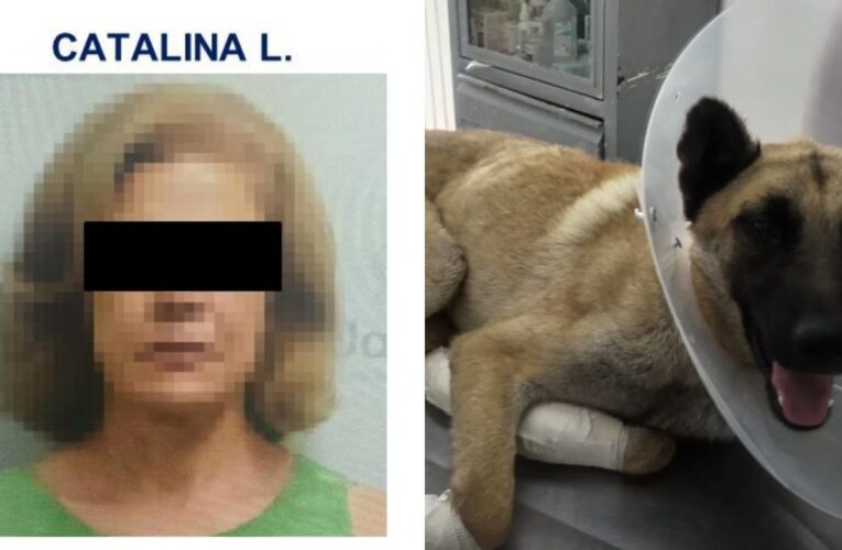 Dan prisión preventiva a mujer que arrastró a perrito con su camioneta en Tlaquepaque