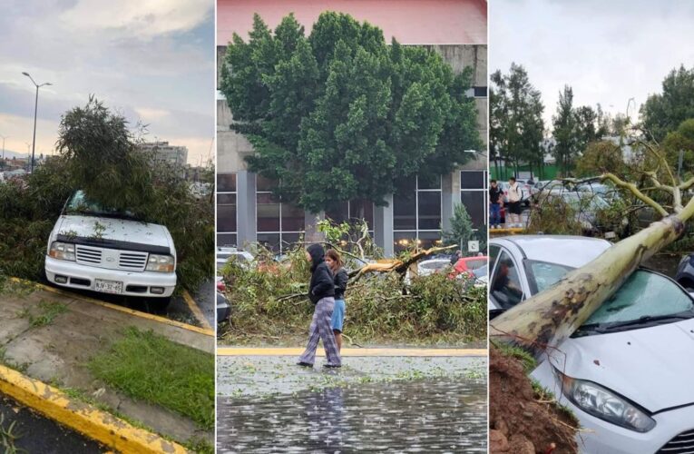 Suspenden clases en FES Aragón tras tormenta y caída de árboles