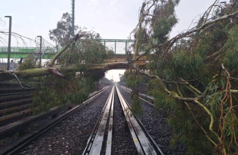 Suspenden servicio de la Línea B por árboles caídos sobre las vías