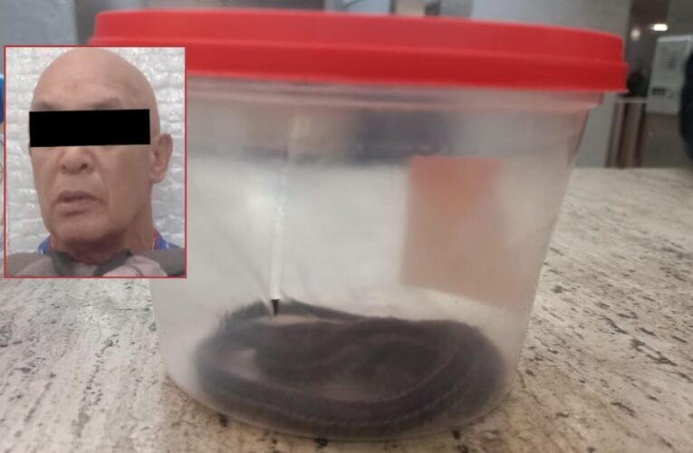 Detienen a hombre con serpiente de agua en el Metro de la CDMX