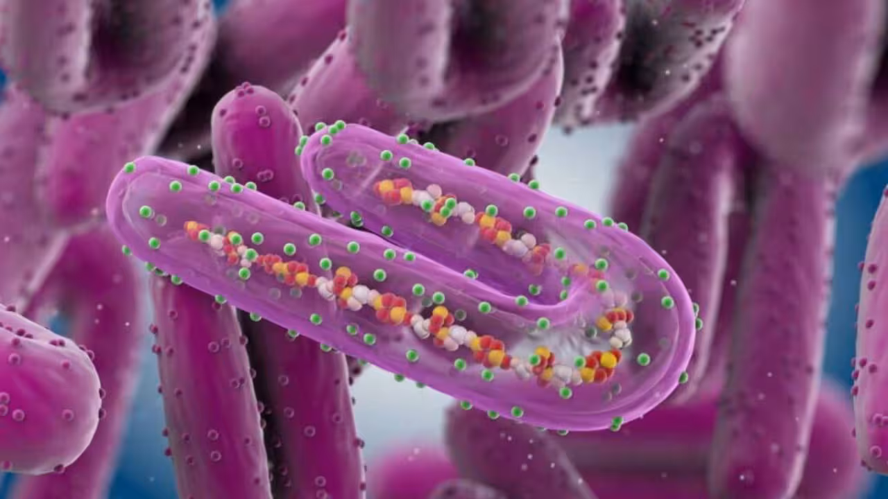 México emite alerta por brote de virus de Marburgo en Ruanda