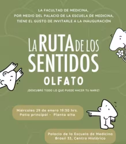 DESCUBRE LA MAGIA DEL OLFATO EN “LA RUTA DE LOS SENTIDOS” EN EL PALACIO DE LA ESCUELA DE MEDICINA