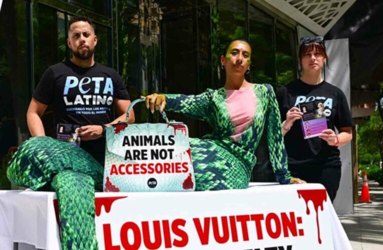 ACTIVISTA DE PETA SE DISFRAZA DE SERPIENTE PARA PROTESTAR FRENTE A LOUIS VUITTON