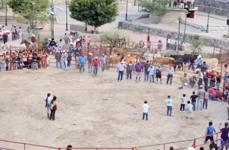 INVESTIGAN CASO DE CRUELDAD ANIMAL EN RODEO DE XICHÚ, EN GUANAJUATO