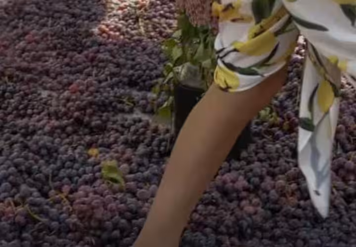 CELEBRA EL VERANO ENTRE VIÑEDOS