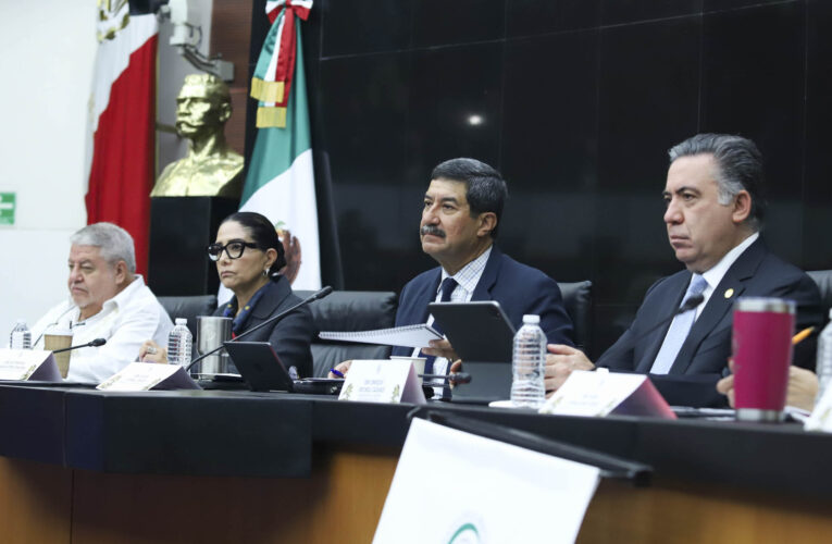 Senado va por dictamen y voto de la reforma al amparo tras dos días de audiencias