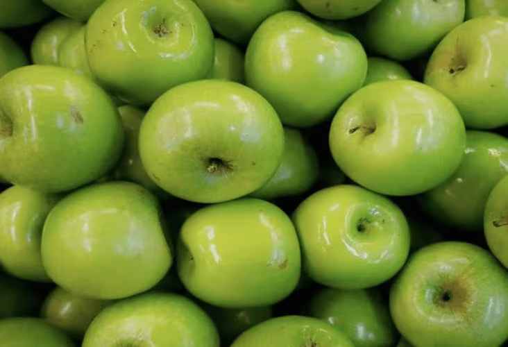 México responde a Trump: Inicia investigación por irregularidades en importación de manzanas estadounidenses