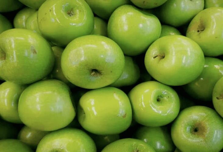 México responde a Trump: Inicia investigación por irregularidades en importación de manzanas estadounidenses