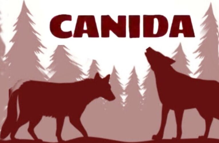 Colectivo CANIDA emite llamado urgente por menor en situación de vulnerabilidad.