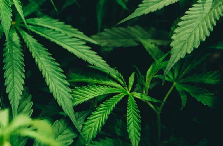 Interfaz cerebral permite escribir con la mente a pacientes con parálisis