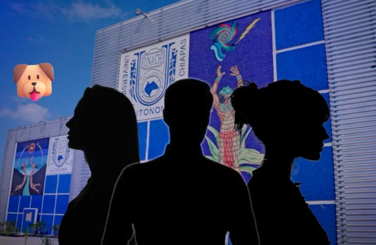 Denuncian estudiantes de veterinaria por muerte de perra callejera en Copainalá