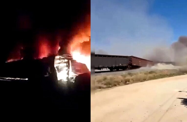 Deja un muerto y siete heridos descarrilamiento de tren en Aguascalientes; autoridades apuntan a vandalismo