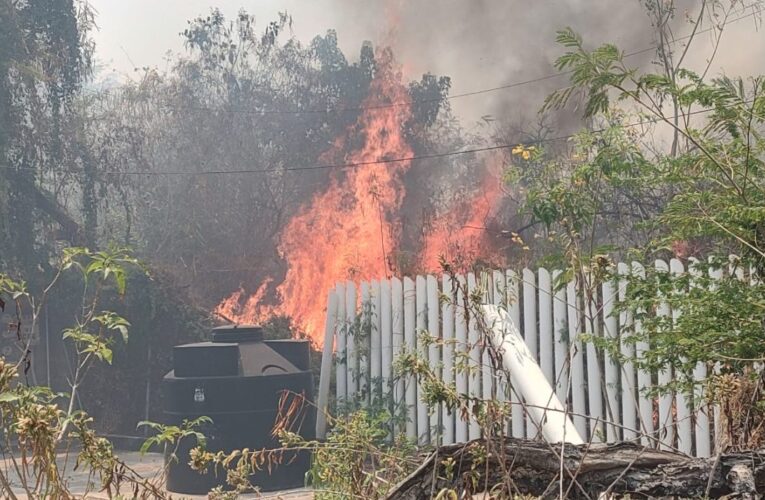Incendio de maleza en zona Diamante de Acapulco afecta seis hectáreas