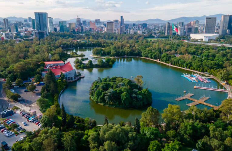 Hallan contaminantes en tiburones de Bahamas y avanzan estudios sobre inmunoterapia y poblamiento de América