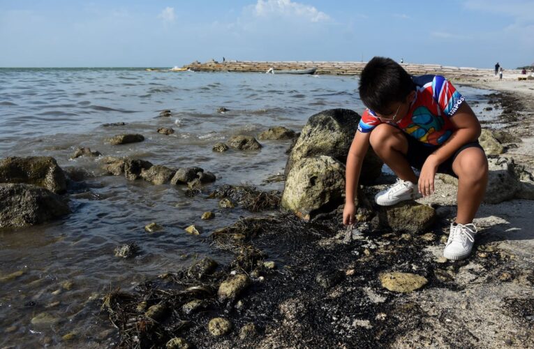 Pemex declara listas playas de Veracruz pese a derrames en el Golfo; reportan 14 vertidos en Cantarell desde 2023