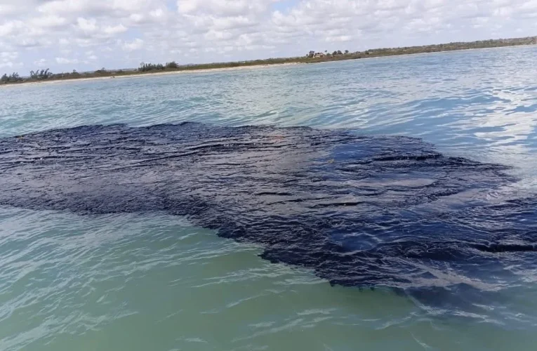 Ordena Sheinbaum investigación penal por derrame de petróleo en el Golfo de México