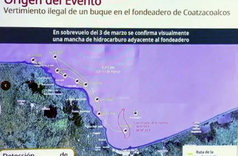 Identifican tres fuentes de contaminación por hidrocarburos en el Golfo de México