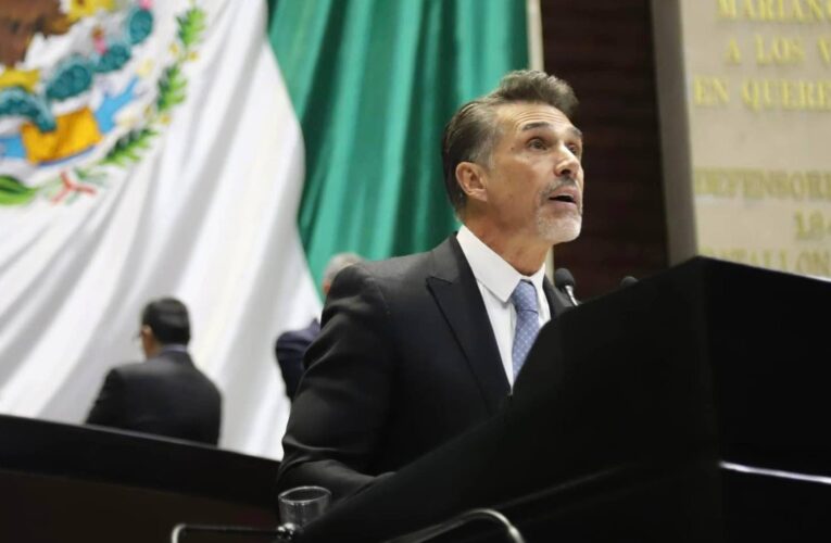 Mayer regresa a diputación pese a sanción partidista en Morena