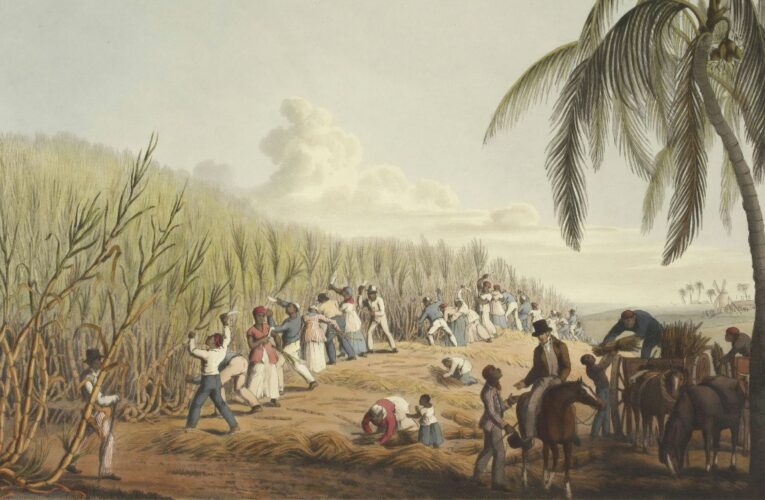 ONU aprueba resolución histórica sobre esclavitud africana con voto en contra de Estados Unidos