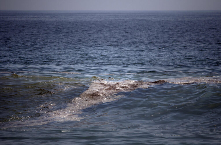 Autoridades no aclaran origen de derrame de petróleo que afecta 630 km de litoral en Veracruz