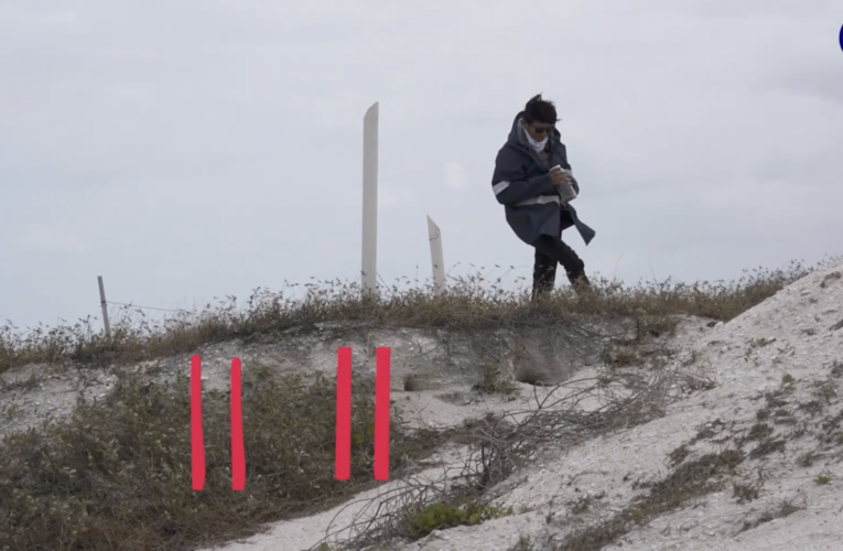 ONU declara emergencia climática tras récord de calor en 2025; SMN alerta por lluvias y temperaturas extremas en México