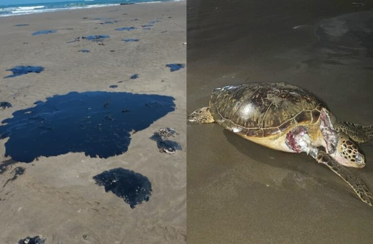 Denuncian comunidades indígenas de Veracruz insuficiencia en limpieza de derrame de hidrocarburo