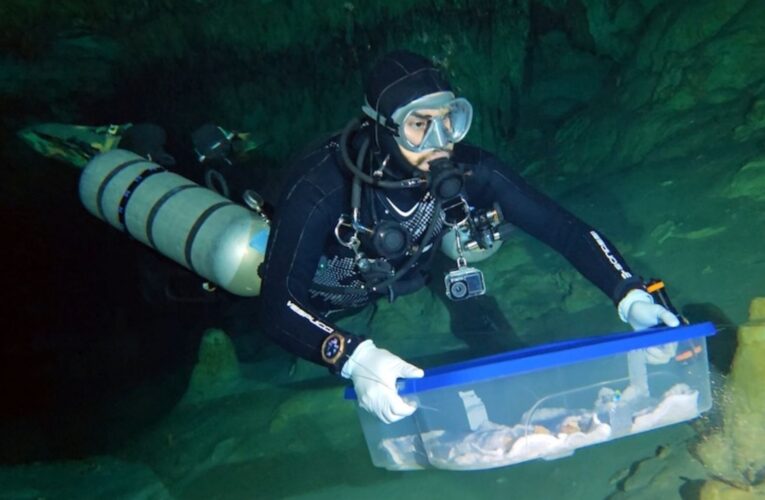 INAH traslada a Ciudad de México fósiles humanos de Sac Actun para estudios de antropología física