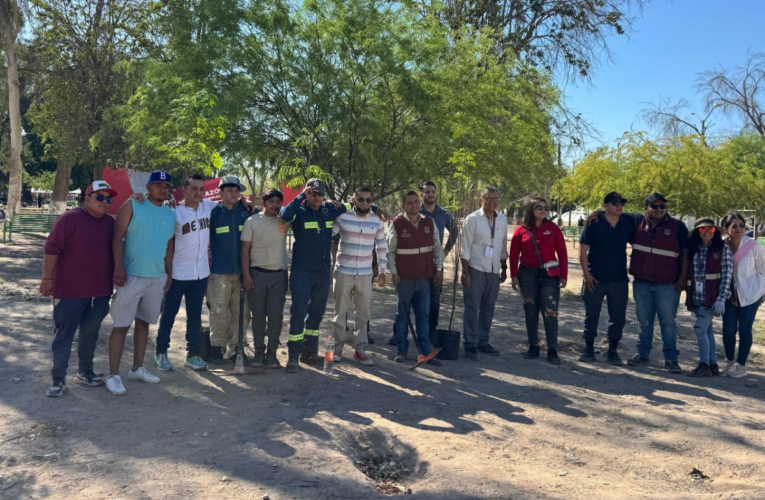 Municipios de La Laguna avanzan en obra pública, servicios sociales y seguridad