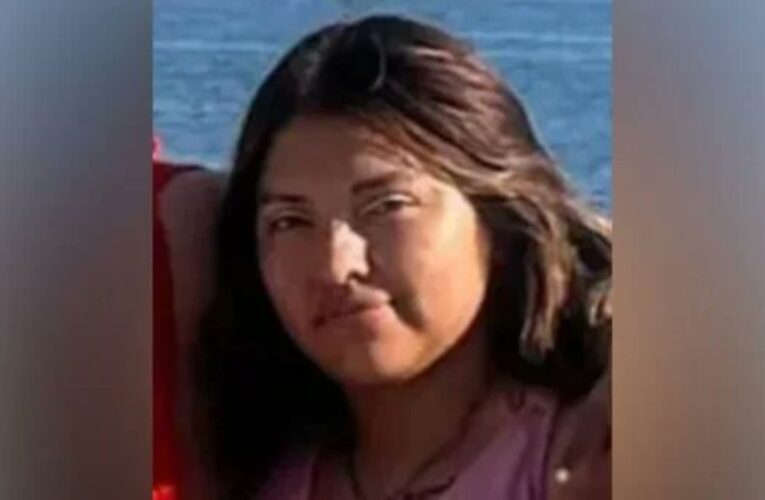 Artículo 19 y colectivos condenan asesinato de la buscadora Cecilia García Ramblas en Guanajuato
